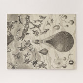 Franse reclame voor ballonfabrikant legpuzzel (Horizontaal)