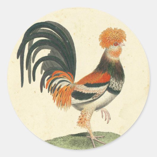  Franse Rooster Print Ronde Sticker (Voorkant)
