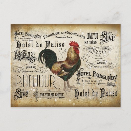 Franse Rooster te Parijs Briefkaart (Voorkant)