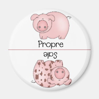 Franse schone vuile vaatwasser magneten