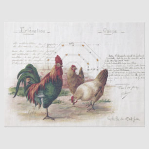 Franse Script Hen Chicken Farmhouse Decoupage Tissuepapier