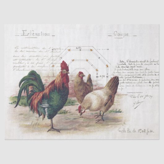 Franse Script Hen Chicken Farmhouse Decoupage Tissuepapier (Voorkant)