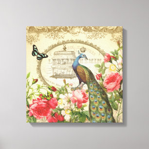  Franse Shabby Chic Peacock Canvas Afdruk