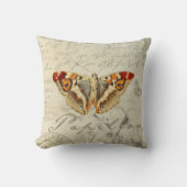 franse shabby chic  vlinderkussen . kussen (Voorkant)