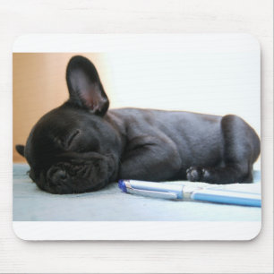 franse snuitpuppy png muismat