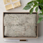 Franse stedelijke gebieden 2 tissuepapier (Geschenk)