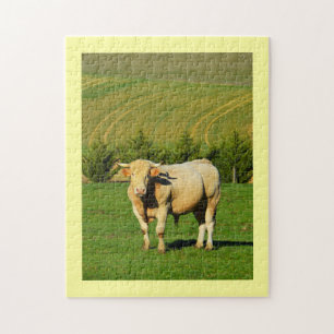 Franse stier legpuzzel