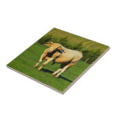 Franse stier tegeltje (Zijkant)