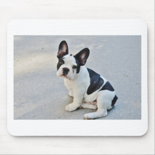 franse stierenhond muismat