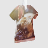 franse stierenlegger ornament (voorkant)