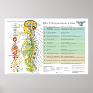 Franse Subluxatie Ruggengraat Zenuwen ANS Grafiek Poster