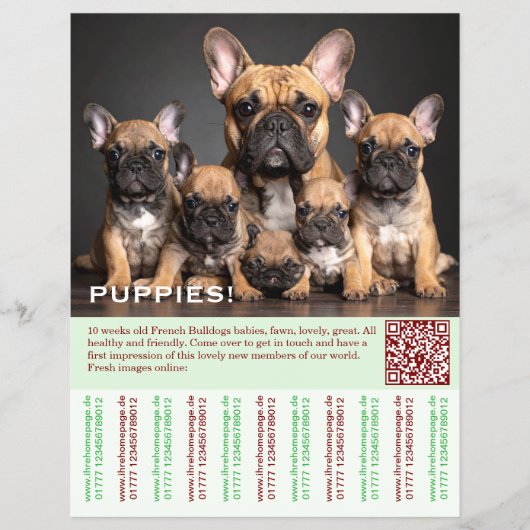 Franse Template Puppy's Flyer (Voorkant)