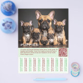 Franse Template Puppy's Flyer (Enkel)