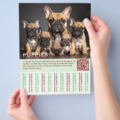 Franse Template Puppy's Flyer (Hand)