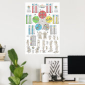 Franse Vijf Elementen Acupunctuur Poster (Thuiskantoor)