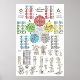 Franse Vijf Elementen Acupunctuur Poster