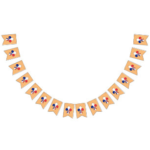 Franse vlag & Fleur De Lys Party Frankrijk / Banne Vlaggetjes