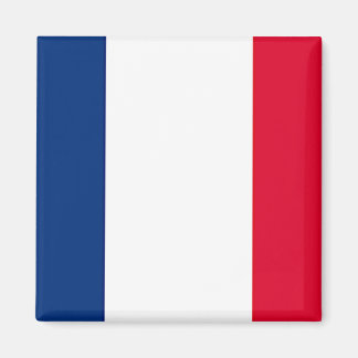Franse vlag magneet