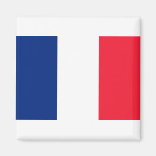 Franse vlag magneet