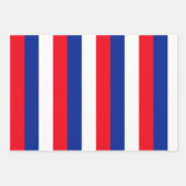 Franse vlag Patriottische kleuren internationaal r Inpakpapier Vel (Voorkant 2)