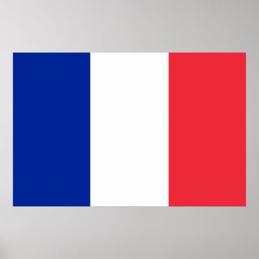 Franse vlag poster (Voorkant)
