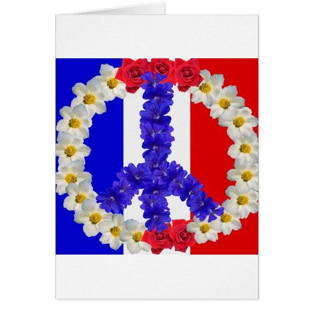 franse vlag - vredesvlag (Voorkant)