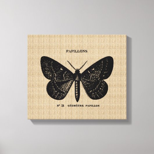  Franse Vlinder op Canvas Afdruk (Voorkant)