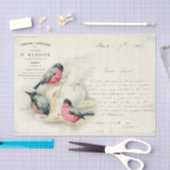 Franse vogelbrieven en liefdesbrieven Tissuepapier (Craft)