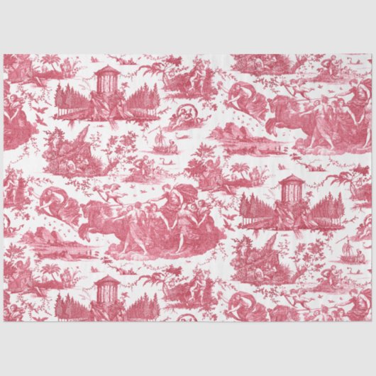  Franse wagen van Dawn Toile de Jouy-Pink Tissuepapier (Voorkant)