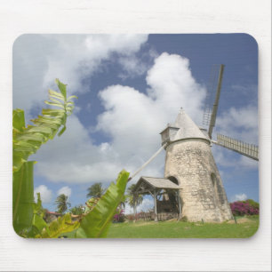 Franse West-Indië, Guadeloupe, Marie-Galante Muismat