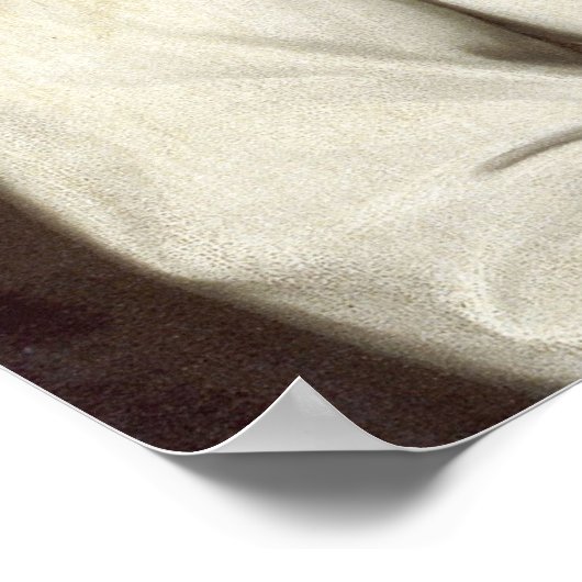 Franz Joseph I Poster (Hoek)