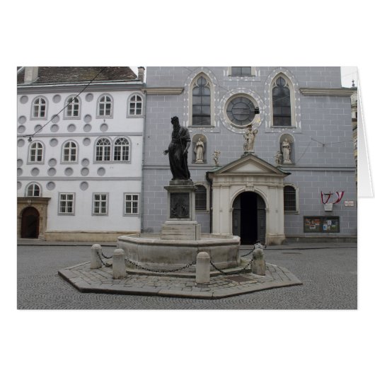 Franziskanerplatz Wenen Oostenrijk (Voorkant Horizontaal)