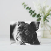 Französisch Bulldog Briefkaart (Staand voorkant)