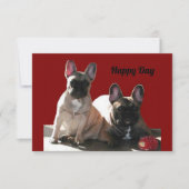 Französische Buldoggen Flo und Fips  Kaart (Voorkant)