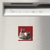 Französische Buldoggen Flo und Fips Magneet (Insitu (Vaatwasser))