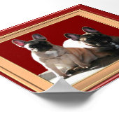 Französische Buldoggen Poster (Hoek)