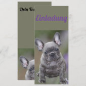 Französische Bulldogge Einladung Kaart (Voorkant / Achterkant)