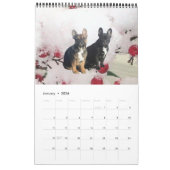 französische Bulldogge Fotosammlung  Bulldog Kalender (Jan 2026)