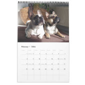 französische Bulldogge Fotosammlung  Bulldog Kalender (Feb 2026)