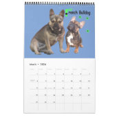 französische Bulldogge Fotosammlung  Bulldog Kalender (Mar 2026)