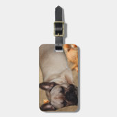 Französische Bulldogge Freizeit French Bulldog Bagagelabel (Voorkant verticaal)