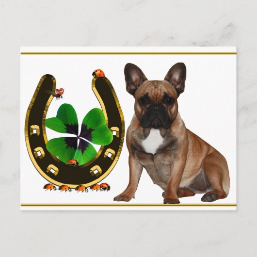 Französische Bulldogge Hufeisen French Bulldog Briefkaart (Voorkant)