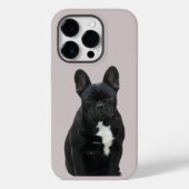 Französische Bulldogge iPhone 14 Pro  Case Mate  (Achterkant)