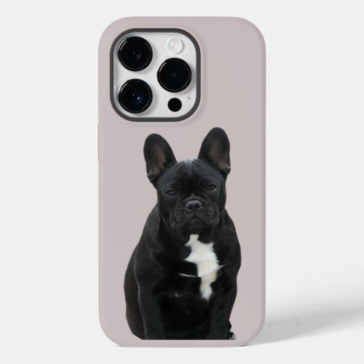 Französische Bulldogge iPhone 14 Pro Case Mate (Achterkant)