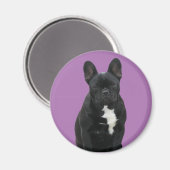 Französische Bulldogge Magnet (Recto/Verso)