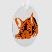 Französische Bulldogge orange (devant)