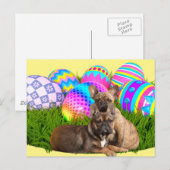 Französische Bulldogge Osterkarte Briefkaart (Voorkant / Achterkant)