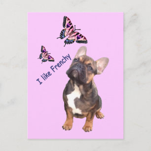 Französische Bulldogge Postkarte Briefkaart