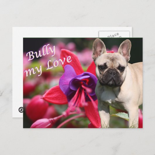 Französische Bulldogge Postkarte Briefkaart (Voorkant / Achterkant)