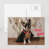 Französische Bulldogge Postkarte Karneval Briefkaart (Voorkant / Achterkant)